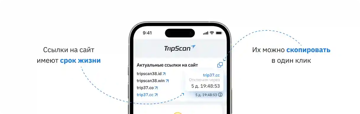 Трипскан на экране смартфона